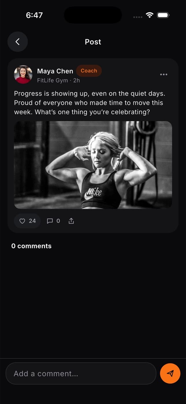 A single post with photos, like and comment counts and a comment field
