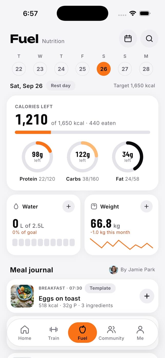 Fuel tab in light mode
